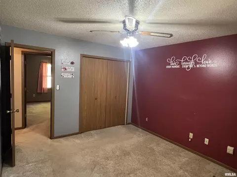 108 W Maple Dr, Lone Tree, IA 52755 photo 9