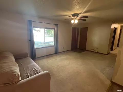 108 W Maple Dr, Lone Tree, IA 52755 photo 2