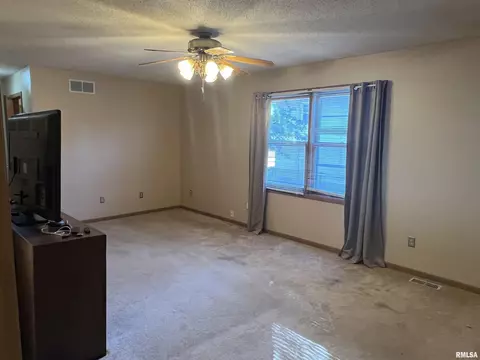 108 W Maple Dr, Lone Tree, IA 52755 photo 5