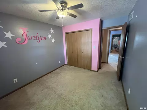 108 W Maple Dr, Lone Tree, IA 52755 photo 10