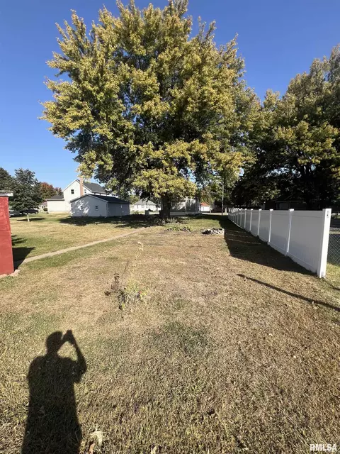 303 W Williams St, Atkinson, IL 61235 photo 9