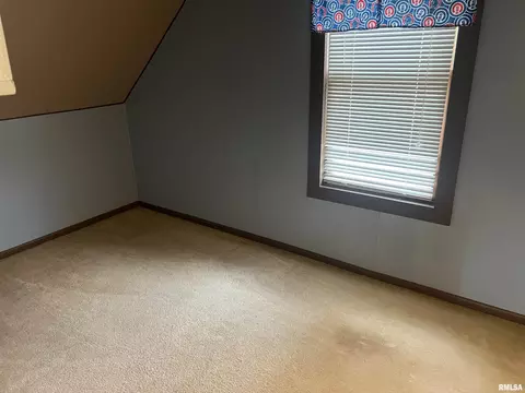 1231 16th Ave, Fulton, IL 61252 photo 14