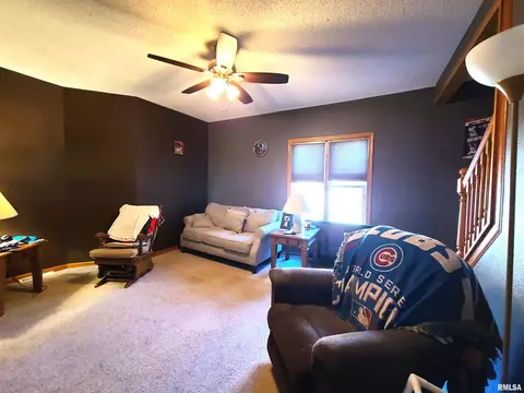 708 12th Ave, Fulton, IL 61252 photo 6