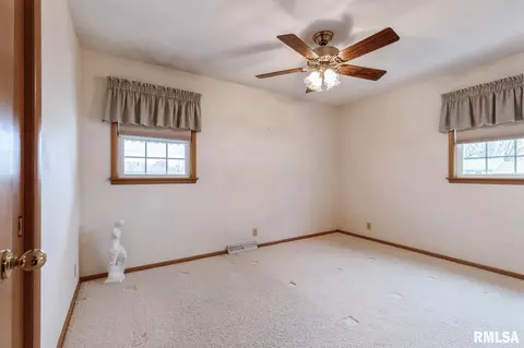 115 E 8th Ave, Colona, IL 61241 photo 12
