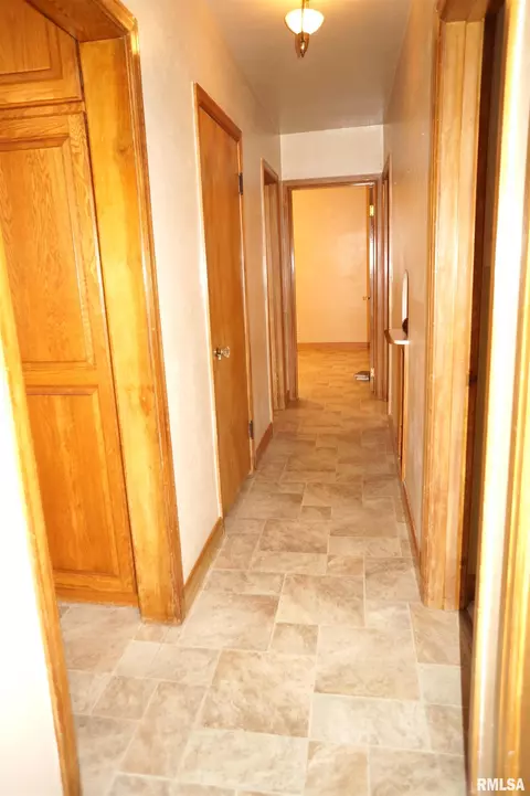 314 E Ogden Ave, Geneseo, IL 61254 photo 14