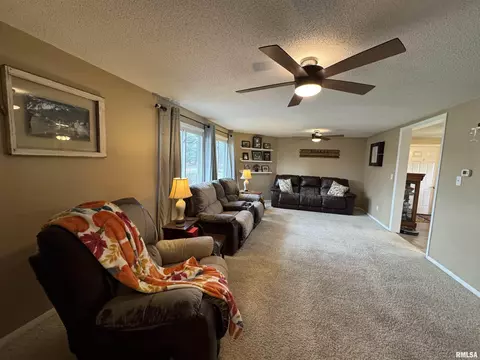 808 NE 3rd Ave, Aledo, IL 61231 photo 16