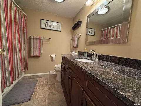 808 NE 3rd Ave, Aledo, IL 61231 photo 28