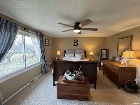 808 NE 3rd Ave, Aledo, IL 61231 photo 18