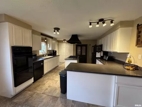 808 NE 3rd Ave, Aledo, IL 61231 photo 6