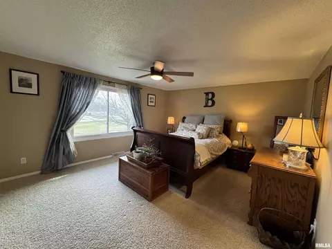 808 NE 3rd Ave, Aledo, IL 61231 photo 17