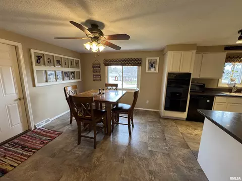 808 NE 3rd Ave, Aledo, IL 61231 photo 10