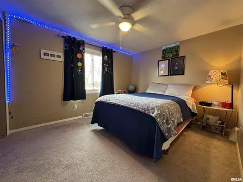 808 NE 3rd Ave, Aledo, IL 61231 photo 23