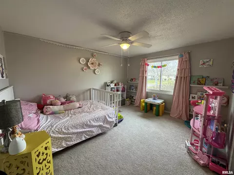808 NE 3rd Ave, Aledo, IL 61231 photo 25