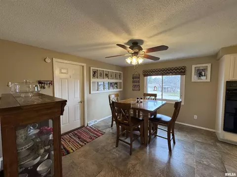 808 NE 3rd Ave, Aledo, IL 61231 photo 12