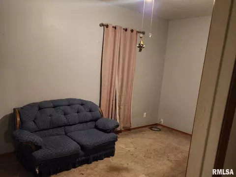 312 N Illinois St, Camp Point, IL 62320 photo 16