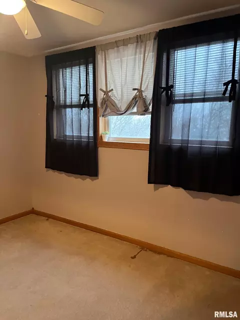 249 Dwight St, Kewanee, IL 61443 photo 21