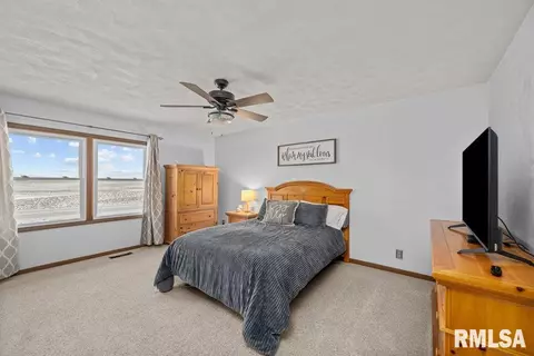 1 Pine Tree Ct, Kewanee, IL 61443 photo 23