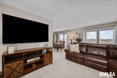 1 Pine Tree Ct, Kewanee, IL 61443 photo 17