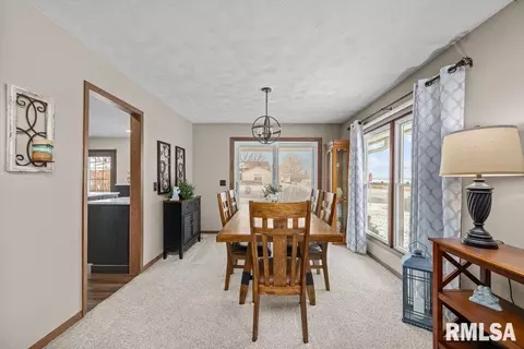 1 Pine Tree Ct, Kewanee, IL 61443 photo 12