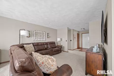 1 Pine Tree Ct, Kewanee, IL 61443 photo 18