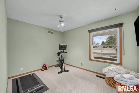 1 Pine Tree Ct, Kewanee, IL 61443 photo 21