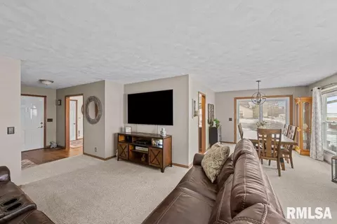 1 Pine Tree Ct, Kewanee, IL 61443 photo 15