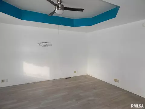 313 Main St, Hooppole, IL 61258 photo 21