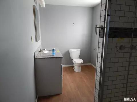 313 Main St, Hooppole, IL 61258 photo 9