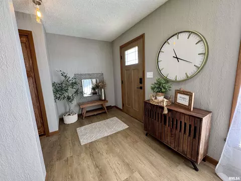301 Oakview Dr, Aledo, IL 61231 photo 6