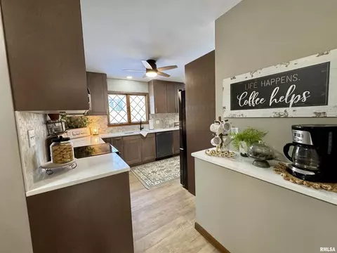 301 Oakview Dr, Aledo, IL 61231 photo 12