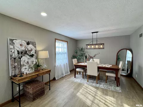 301 Oakview Dr, Aledo, IL 61231 photo 10