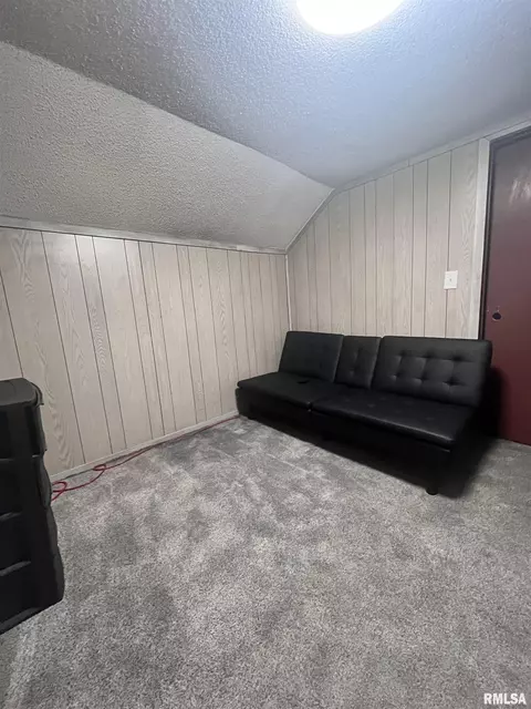 229 E Mill St, Kewanee, IL 61443 photo 17