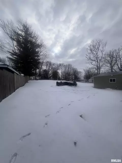 229 E Mill St, Kewanee, IL 61443 photo 29