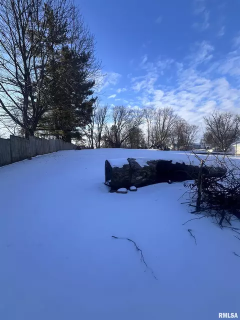 229 E Mill St, Kewanee, IL 61443 photo 22
