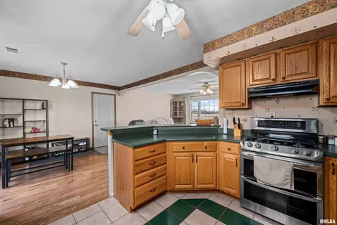 12462 E 150th St, Orion, IL 61273 photo 23
