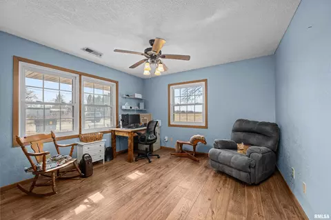 12462 E 150th St, Orion, IL 61273 photo 32