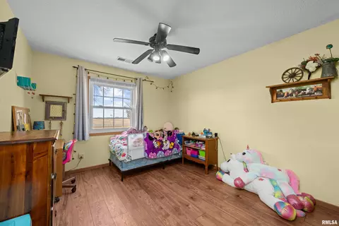 12462 E 150th St, Orion, IL 61273 photo 34