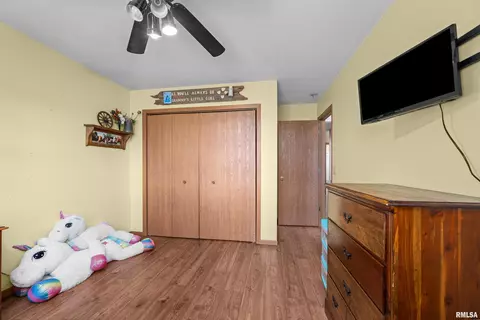 12462 E 150th St, Orion, IL 61273 photo 35