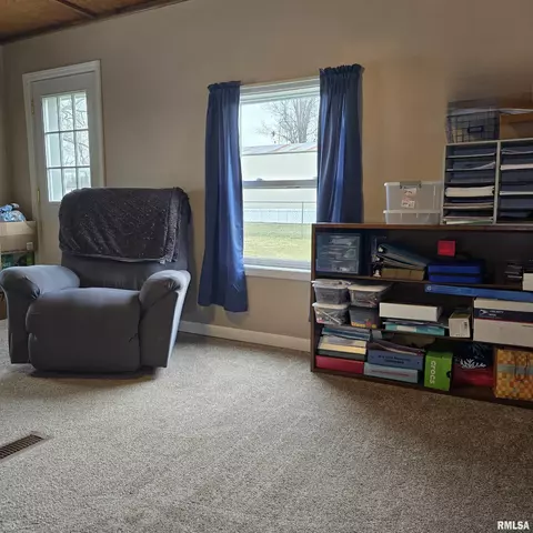 223 N King St, Hurst, IL 62949 photo 20