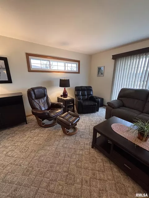 342 E Mcclure St, Kewanee, IL 61443 photo 50