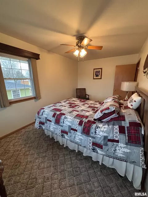 342 E Mcclure St, Kewanee, IL 61443 photo 38