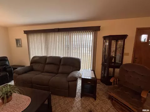 342 E Mcclure St, Kewanee, IL 61443 photo 20