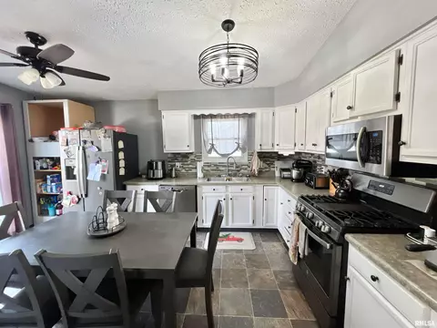 301 S Park View Dr, Eldridge, IA 52748 photo 8