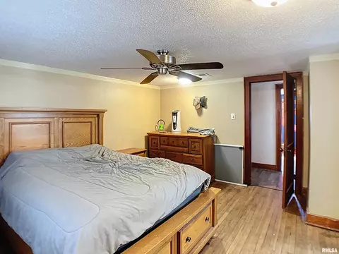 204 W 2nd St, Bennett, IA 52721 photo 26