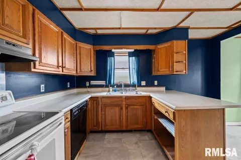 540 24th Ave, Moline, IL 61265 photo 9