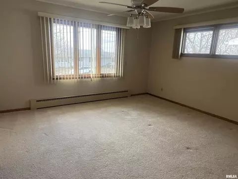 1415 9th Ave, Fulton, IL 61252 photo 16