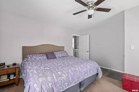309 E Winfield St, Morrison, IL 61270 photo 18