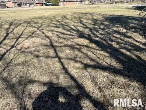 243 12th Ave, Moline, IL 61265 photo 5