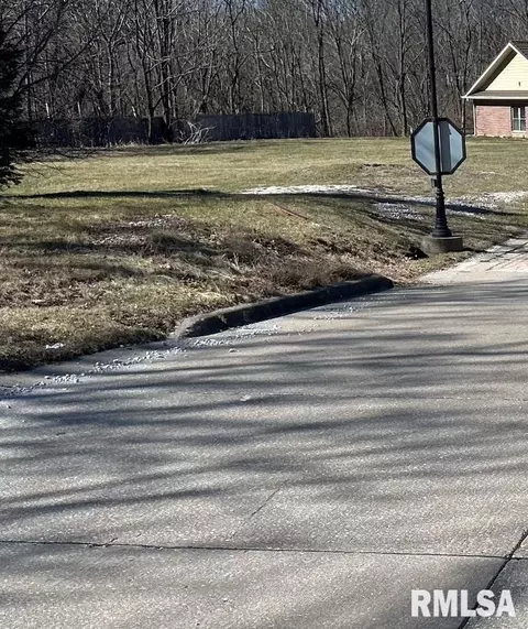 244 12th Ave, Moline, IL 61265 photo 9