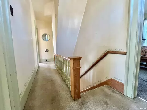 717 11th Ave, Fulton, IL 61252 photo 24